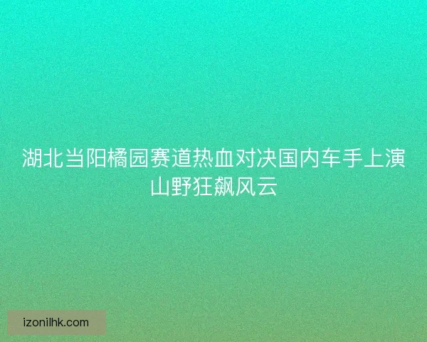 湖北当阳橘园赛道热血对决国内车手上演山野狂飙风云